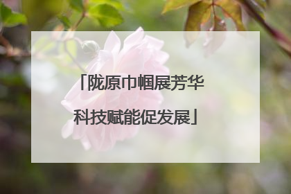 陇原巾帼展芳华 科技赋能促发展