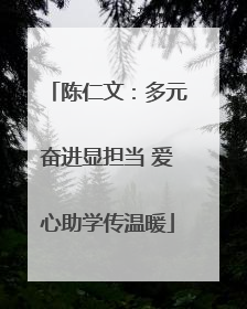 陈仁文：多元奋进显担当 爱心助学传温暖