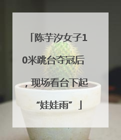 陈芋汐女子10米跳台夺冠后，现场看台下起“娃娃雨”