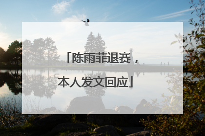 陈雨菲退赛，本人发文回应