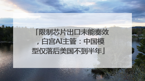 限制芯片出口未能奏效，白宫AI主管：中国模型仅落后美国不到半年