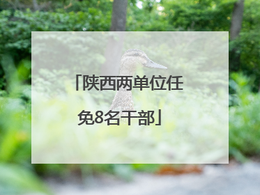 陕西两单位任免8名干部