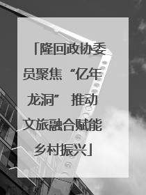 隆回政协委员聚焦“亿年龙洞” 推动文旅融合赋能乡村振兴