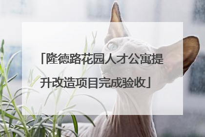 隆德路花园人才公寓提升改造项目完成验收