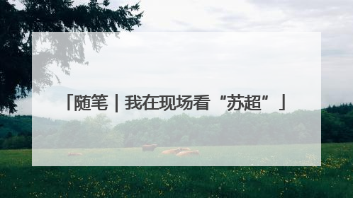 随笔｜我在现场看“苏超”
