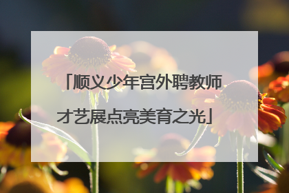 顺义少年宫外聘教师才艺展点亮美育之光