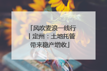 风吹麦浪一线行丨定州：土地托管带来稳产增收
