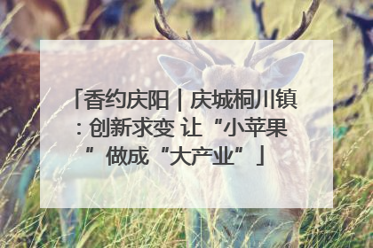 香约庆阳｜庆城桐川镇：创新求变 让“小苹果”做成“大产业”