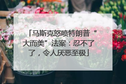 马斯克怒喷特朗普“大而美”法案：忍不了了，令人厌恶至极
