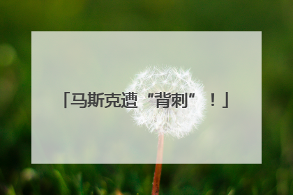 马斯克遭“背刺”！