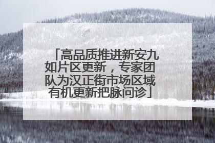 高品质推进新安九如片区更新，专家团队为汉正街市场区域有机更新把脉问诊