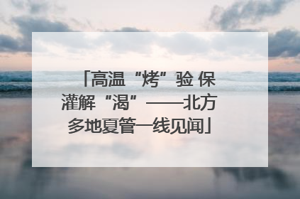 高温“烤”验 保灌解“渴”——北方多地夏管一线见闻