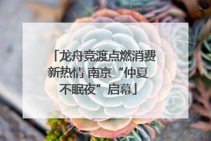 龙舟竞渡点燃消费新热情 南京“仲夏不眠夜”启幕
