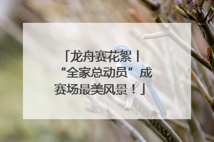 龙舟赛花絮丨 “全家总动员”成赛场最美风景！