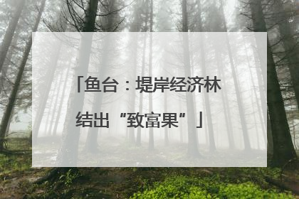 鱼台：堤岸经济林结出“致富果”