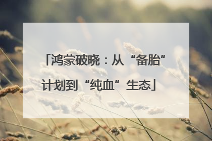 鸿蒙破晓：从“备胎”计划到“纯血”生态