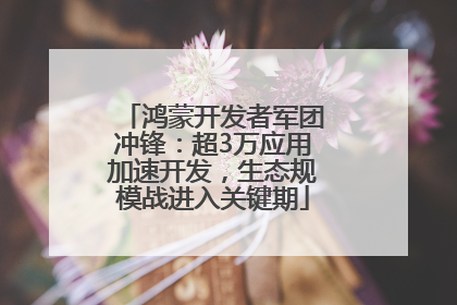 鸿蒙开发者军团冲锋：超3万应用加速开发，生态规模战进入关键期