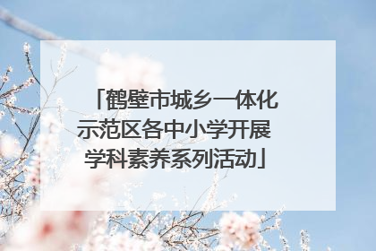 鹤壁市城乡一体化示范区各中小学开展学科素养系列活动