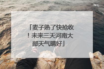 麦子熟了快抢收！未来三天河南大部天气晴好
