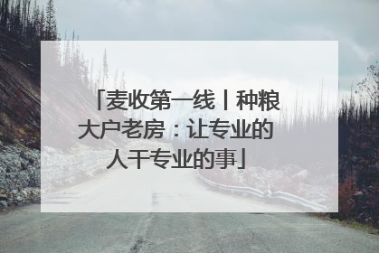 麦收第一线丨种粮大户老房：让专业的人干专业的事