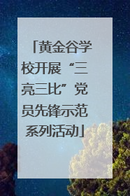 黄金谷学校开展“三亮三比”党员先锋示范系列活动