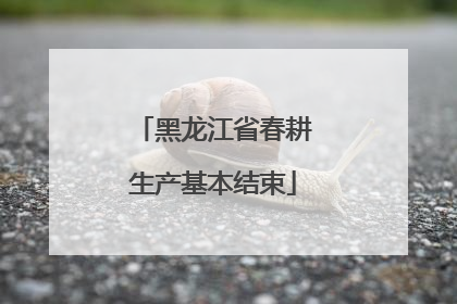 黑龙江省春耕生产基本结束