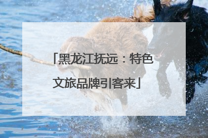黑龙江抚远：特色文旅品牌引客来