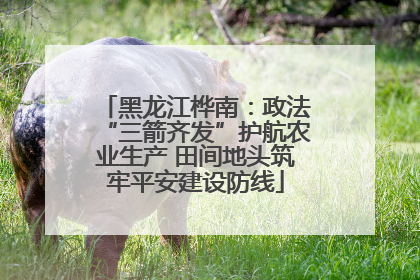黑龙江桦南：政法“三箭齐发”护航农业生产 田间地头筑牢平安建设防线