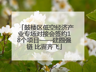 鼓楼区低空经济产业专场对接会签约18个项目——建圈强链 比翼齐飞