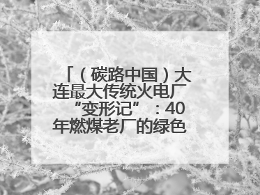 （碳路中国）大连最大传统火电厂“变形记”：40年燃煤老厂的绿色转型之路