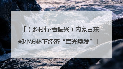 （乡村行·看振兴）内蒙古东部小镇林下经济“茸光焕发”