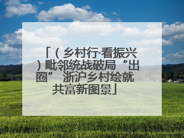 （乡村行·看振兴）毗邻统战破局“出圈” 浙沪乡村绘就共富新图景