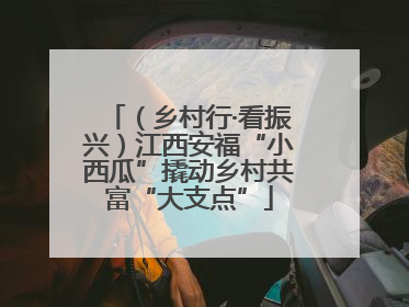 （乡村行·看振兴）江西安福“小西瓜”撬动乡村共富“大支点”