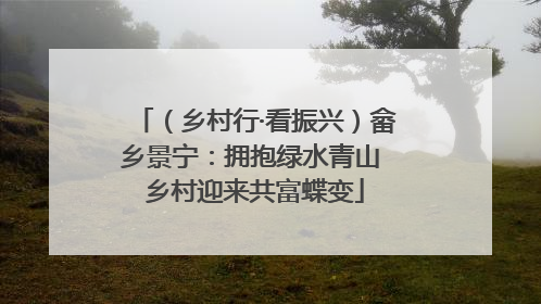 （乡村行·看振兴）畲乡景宁：拥抱绿水青山 乡村迎来共富蝶变