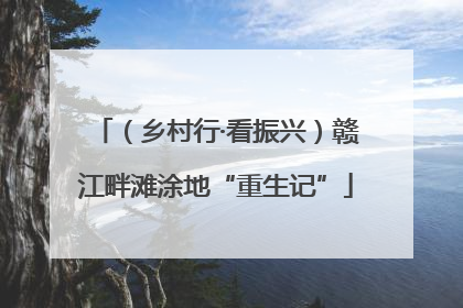 （乡村行·看振兴）赣江畔滩涂地“重生记”