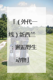 （外代一线）新西兰：邂逅野生动物