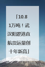 10.81万吨！武汉阳逻港直航货运量创十年新高