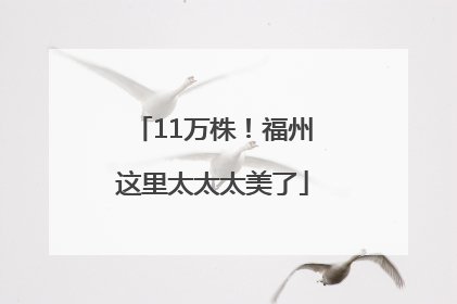 11万株！福州这里太太太美了