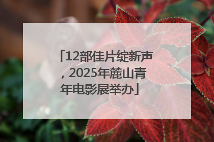 12部佳片绽新声，2025年麓山青年电影展举办