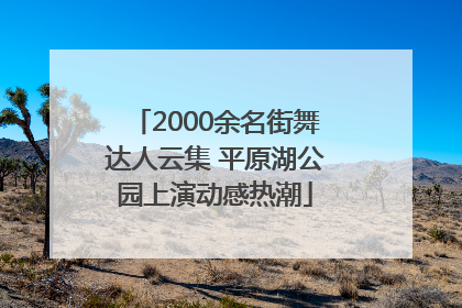 2000余名街舞达人云集 平原湖公园上演动感热潮