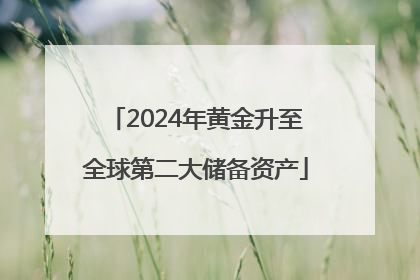 2024年黄金升至全球第二大储备资产