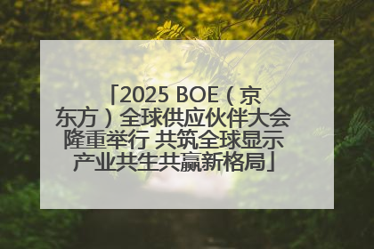2025 BOE（京东方）全球供应伙伴大会隆重举行 共筑全球显示产业共生共赢新格局