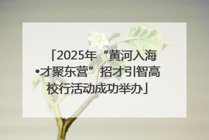 2025年“黄河入海•才聚东营”招才引智高校行活动成功举办
