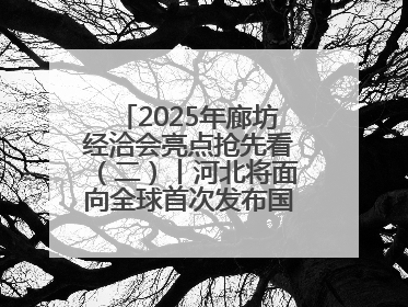 2025年廊坊经洽会亮点抢先看（二）丨河北将面向全球首次发布国际化招商地图