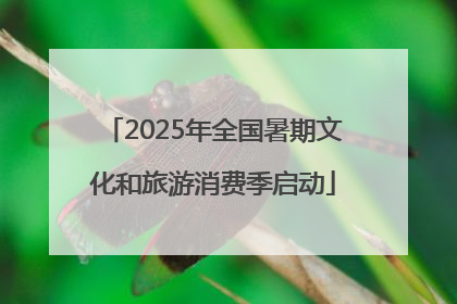 2025年全国暑期文化和旅游消费季启动