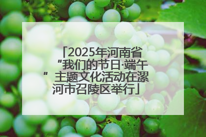 2025年河南省“我们的节日·端午”主题文化活动在漯河市召陵区举行