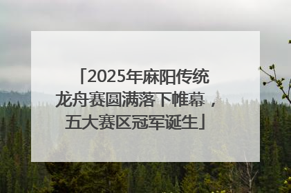 2025年麻阳传统龙舟赛圆满落下帷幕，五大赛区冠军诞生