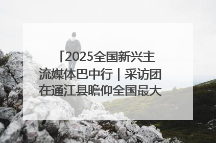 2025全国新兴主流媒体巴中行｜采访团在通江县瞻仰全国最大红军烈士陵园