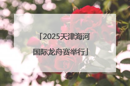 2025天津海河国际龙舟赛举行