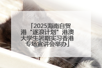 2025海南自贸港“逐浪计划”港澳大学生暑期实习香港专场宣讲会举办